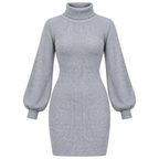 Vestido invierno cuello de tortuga Gris — producto completo